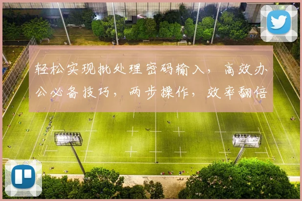 轻松实现批处理密码输入，高效办公必备技巧，两步操作，效率翻倍