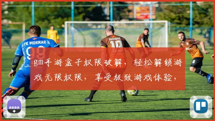 gm手游盒子权限破解，轻松解锁游戏无限权限，享受极致游戏体验，无需root