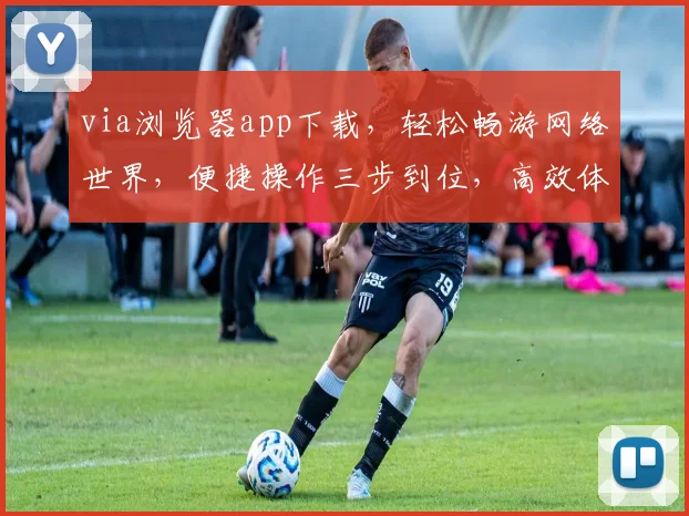 via浏览器app下载，轻松畅游网络世界，便捷操作三步到位，高效体验不容错过