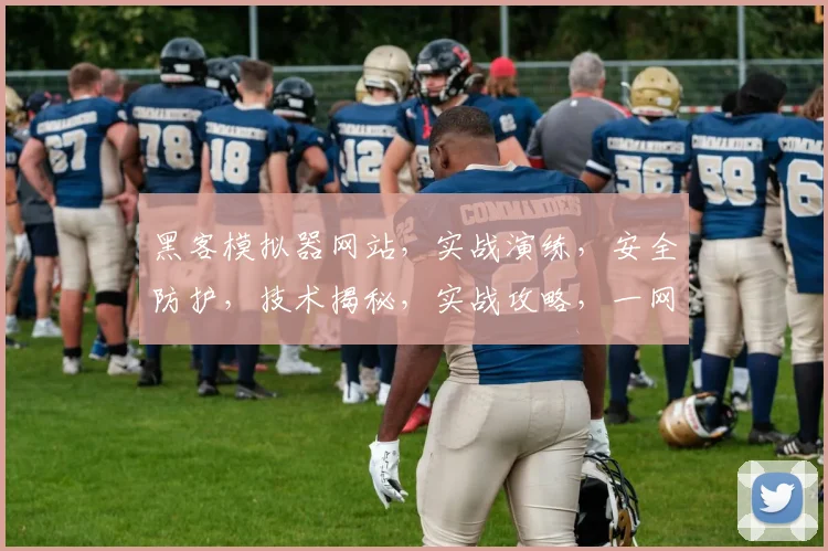 黑客模拟器网站，实战演练，安全防护，技术揭秘，实战攻略，一网打尽